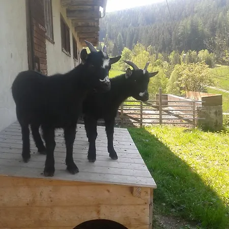 Farm stay Bauernhof Lackner Hansirgel *