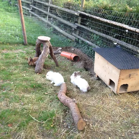 Farm stay Bauernhof Lackner Hansirgel